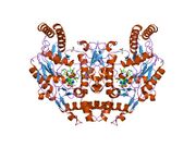 1om4: STRUCTURE OF RAT NEURONAL NOS HEME DOMAIN WITH L-ARGININE BOUND