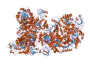 1f3w: RECOMBINANT RABBIT MUSCLE PYRUVATE KINASE
