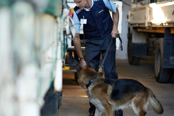 Fighting crime and terrorism
