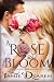 A Rose in Bloom