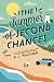 The Summer of Second Chances by K.L. Walther