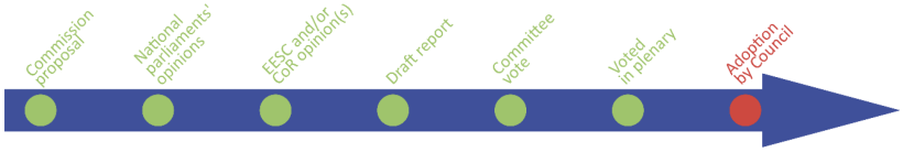 timeline 7 steps - adoption by council