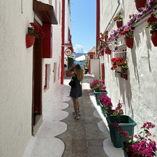 Lini