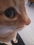 Jesse