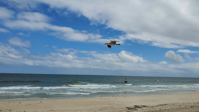 2026 Ocean Changemakers Challenge