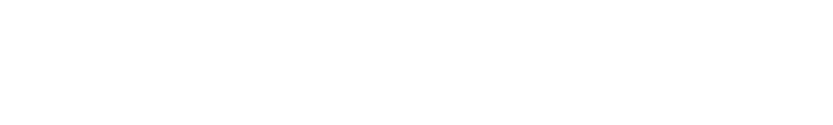 Imprensa Nacional Logo