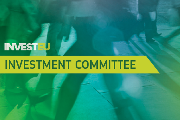 Investment Committee