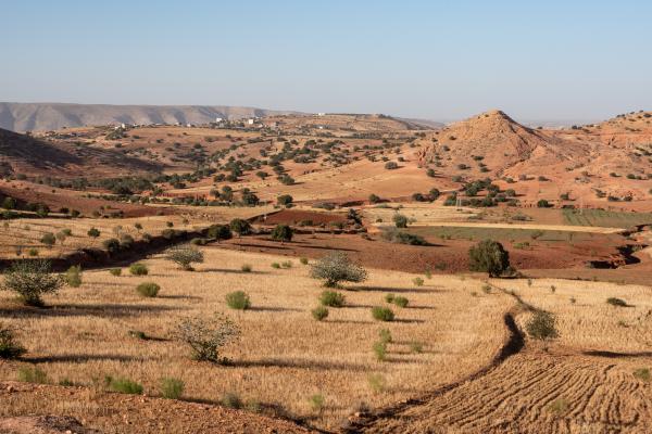 AdobeStock_618919843 by  imagoDens