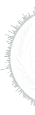 Diachronic data analysis supports and refines conceptual metaphor theory