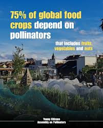 The Young Citizens’ Assembly on Pollinators