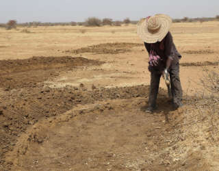 간접자본 재건에 참여한 수혜자가 반달형 경작지를 만들고 있습니다. Photo: WFP/Mariama Ali Souley