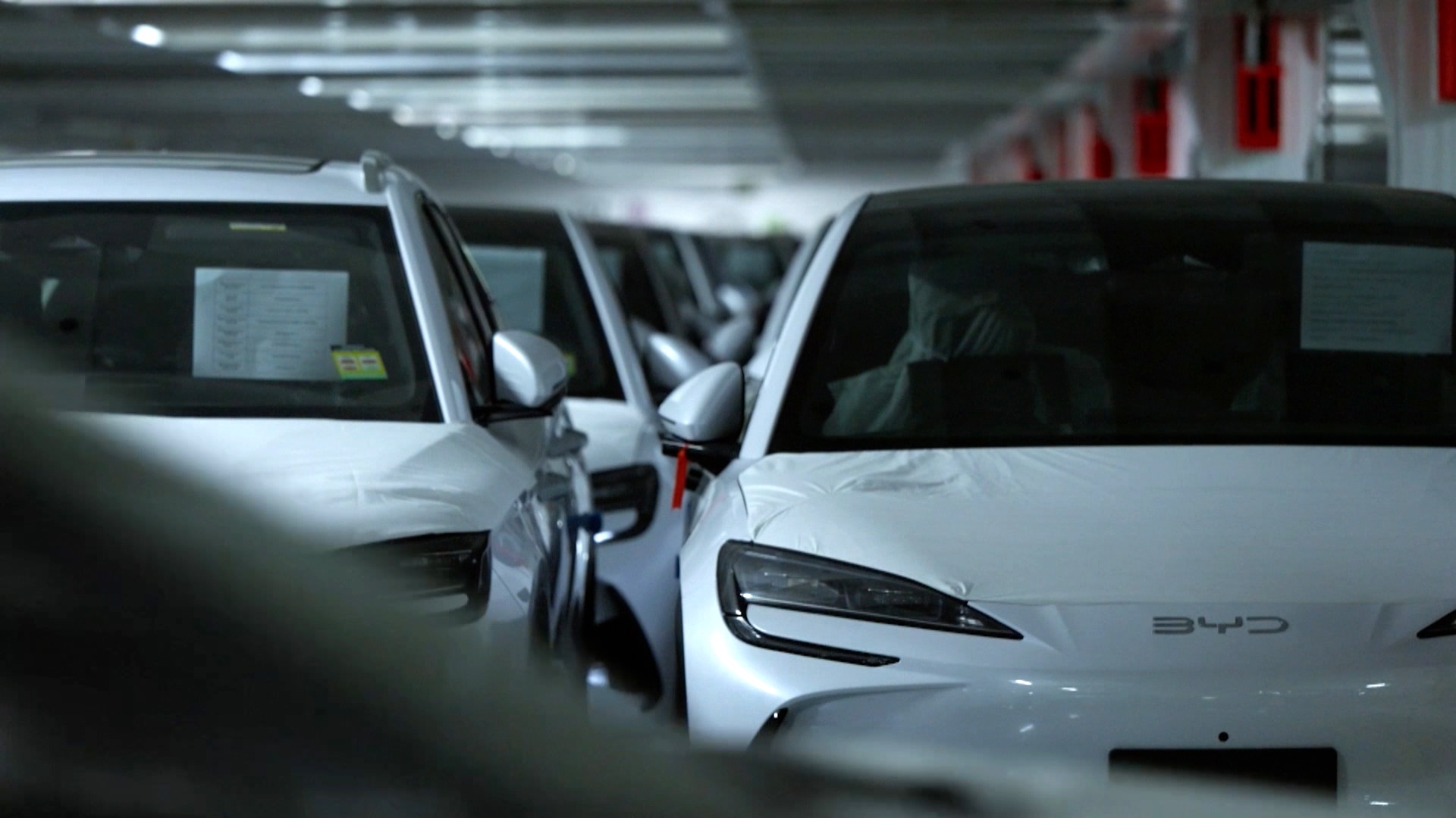 Dozens of new white BYD cars sitting next to each other on a freight ship.