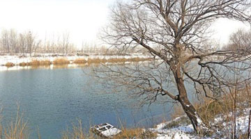 雪后的中原乡村