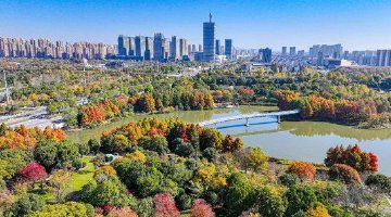 抚州冬景如画引客流连