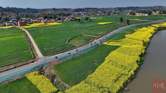 眉山仁寿：百条乡村公路换新颜 助力乡村振兴