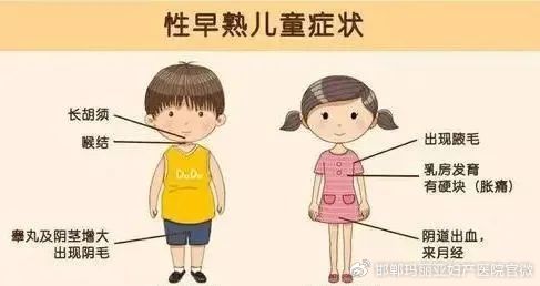 性早熟警报！家长必知的儿童发育真��?