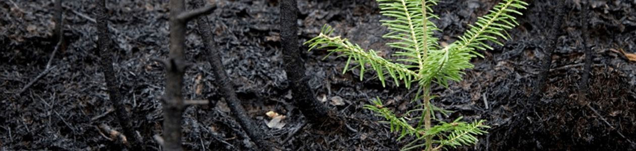 Resilient-America-Roundtable.jpg | https://nasemoceprodcomm-nationalacademies.cec.ocp.oraclecloud.com/content/published/api/v1.1/assets/CONTF454229962B24AD69CCB0A37CBEF7BA8/native?cb=_cache_daba&format=webp&channelToken=d2dc71410b56f1d61406108f1738d0f4