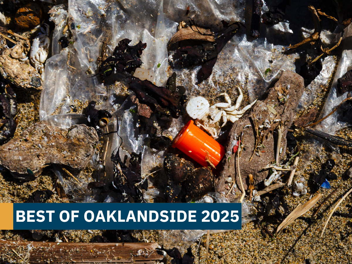A trip to the Oakland estuary shines light on a hidden, dirty problem