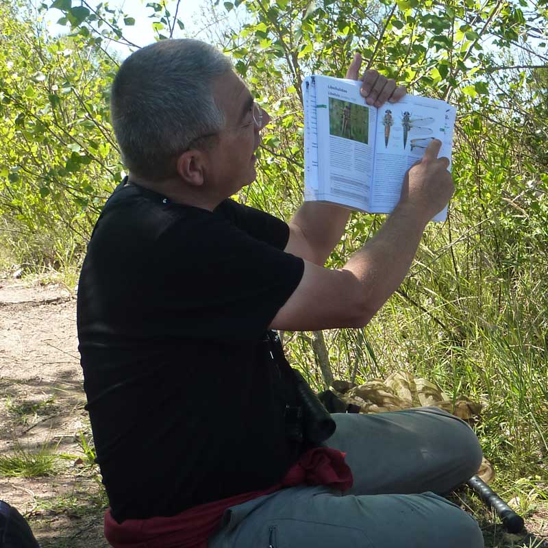 Résultats - Tangi CORVELER