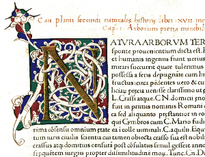 Gaius Plinius Secundus image