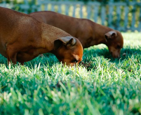 Photo by Noel Lopez (http://digerata.net) from unsplash.com