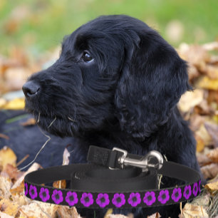 Purple Geranium Floral Pattern on Black Pet Leash