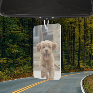 Your Dog   2 Photo Upload Cute Pet Picture Air Freshener
