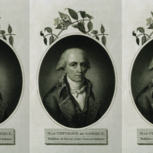 On a Bet, Jean-Baptiste Lamarck Invented the Way We Still Identify Plants