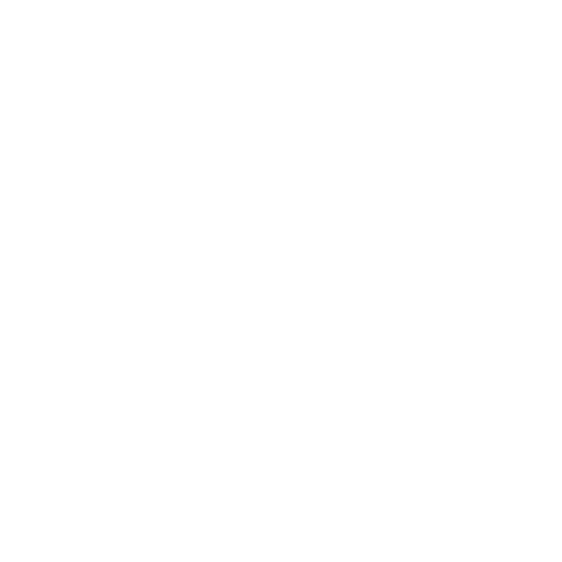 Foundations of Data Privacy