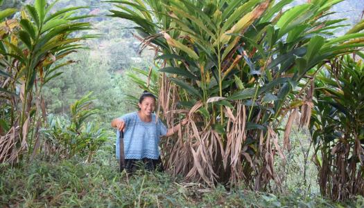 Photo Credit: SOCODEVI