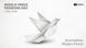 Welttag der Pressefreiheit | UNESCO-Kampagne Journalism Shapes Peace | Poster englisch