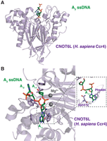 Figure 2.