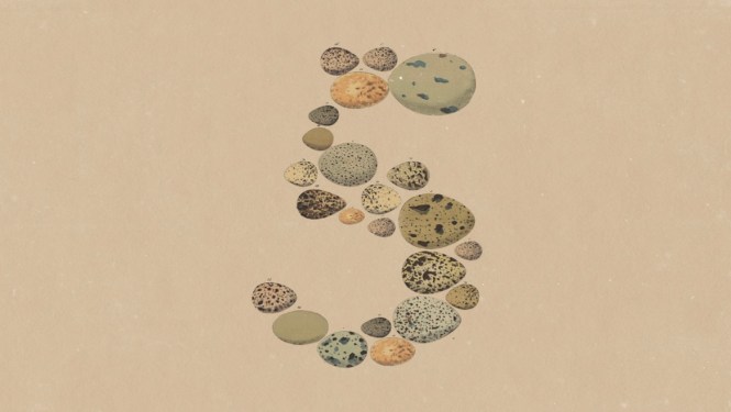 The numeral 5, spelled out with discrete stones