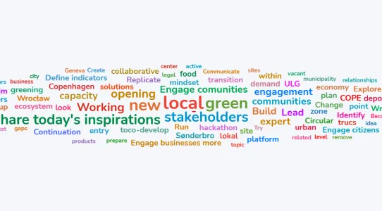 Word cloud illustrating participants’ responses to the question: “What should be the next step to accelerate green economic development in your local context?”