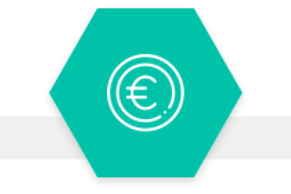Icon euro
