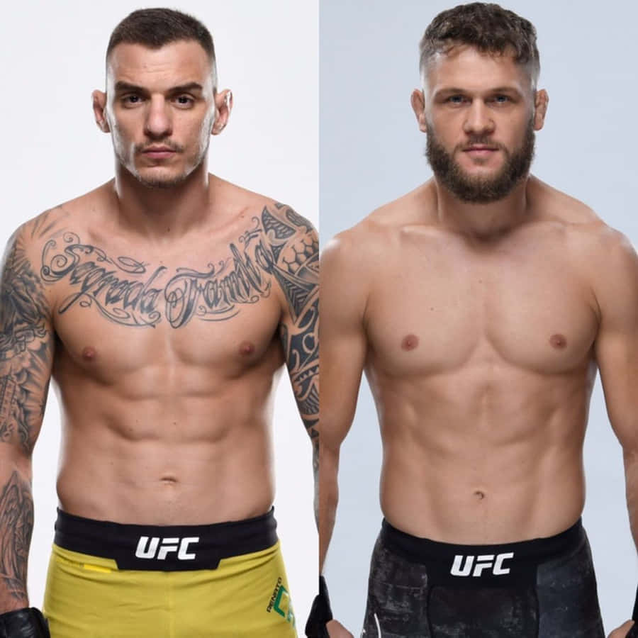 Brasil Bakgrunnsbildet