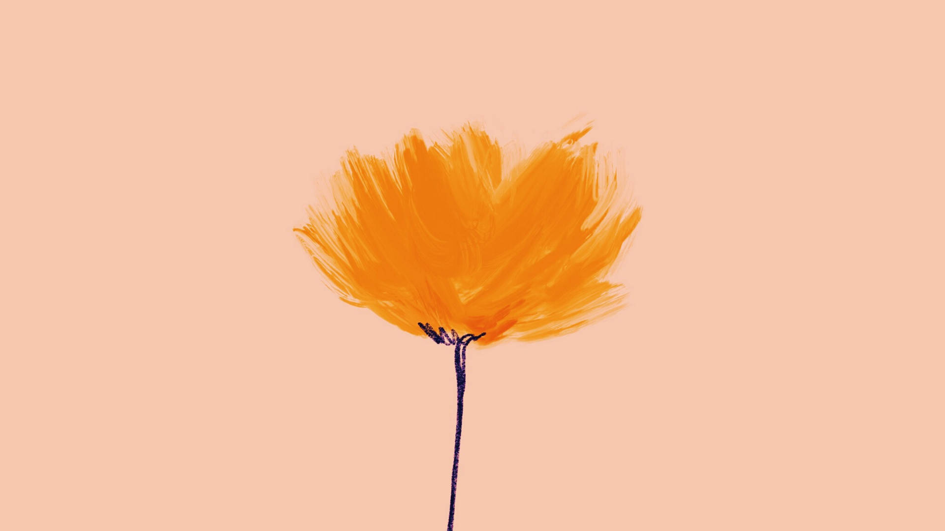 Minimalist Flower Computer Wallpaper