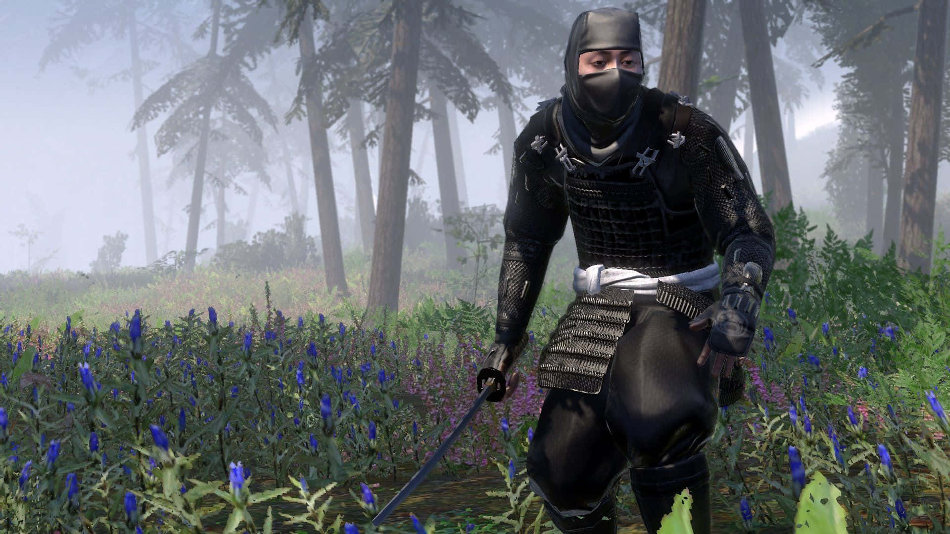 Total War Baggrunde Fotos