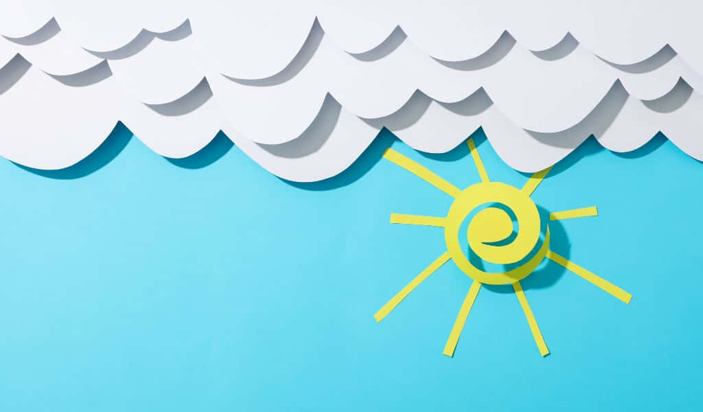 Close-up Van Een Bloeiende Narcissus Bloem Achtergrond