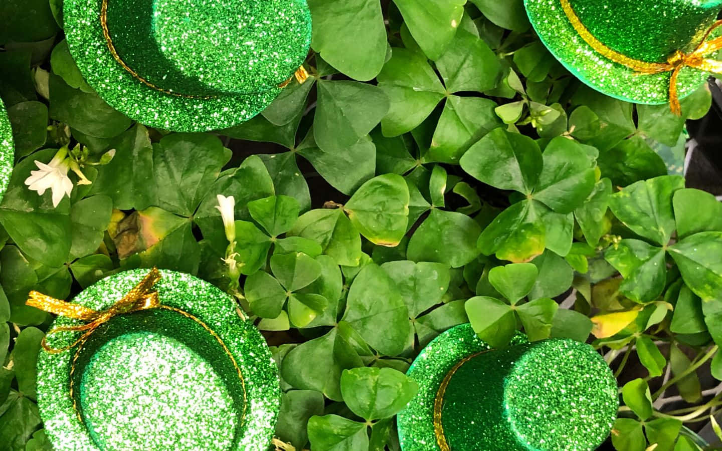 Rendeteil Vostro Sfondo Del Desktop Ancora Più Bello Con Questa Splendida Immagine. Sfondo