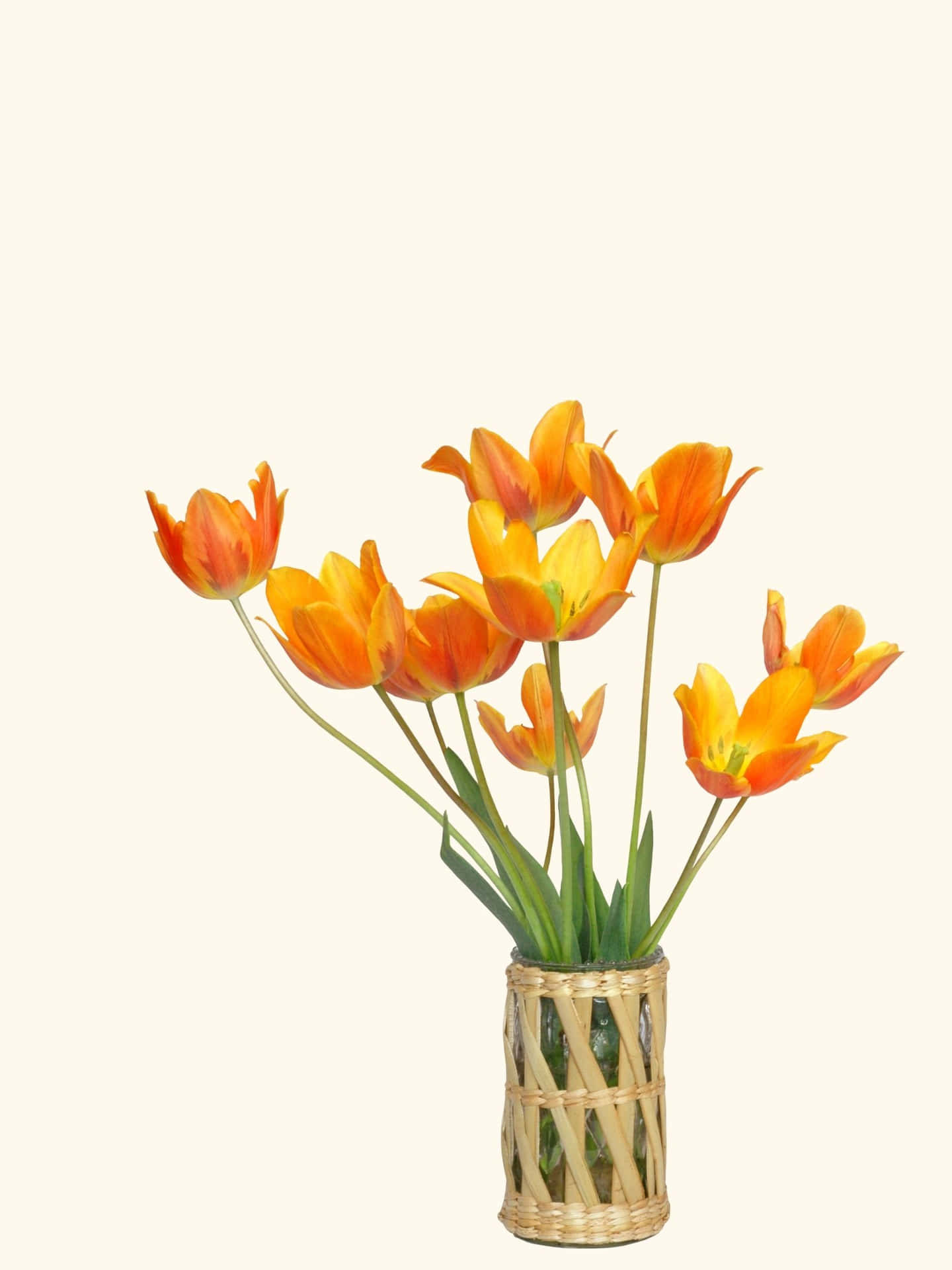 En Vase Med Orange Blomster Bakgrunnsbildet