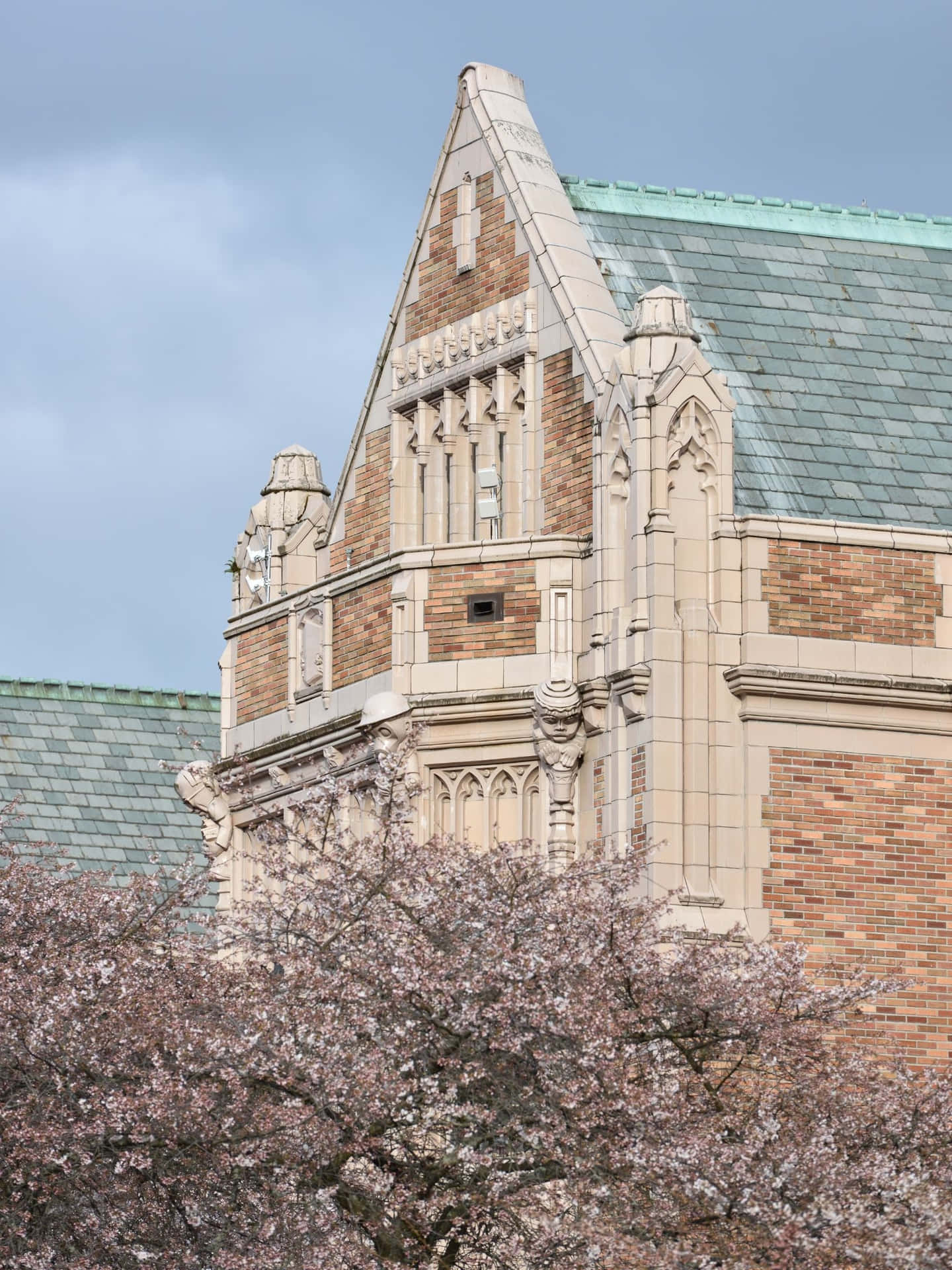 En Fengslende Rolig Strandscene Bakgrunnsbildet