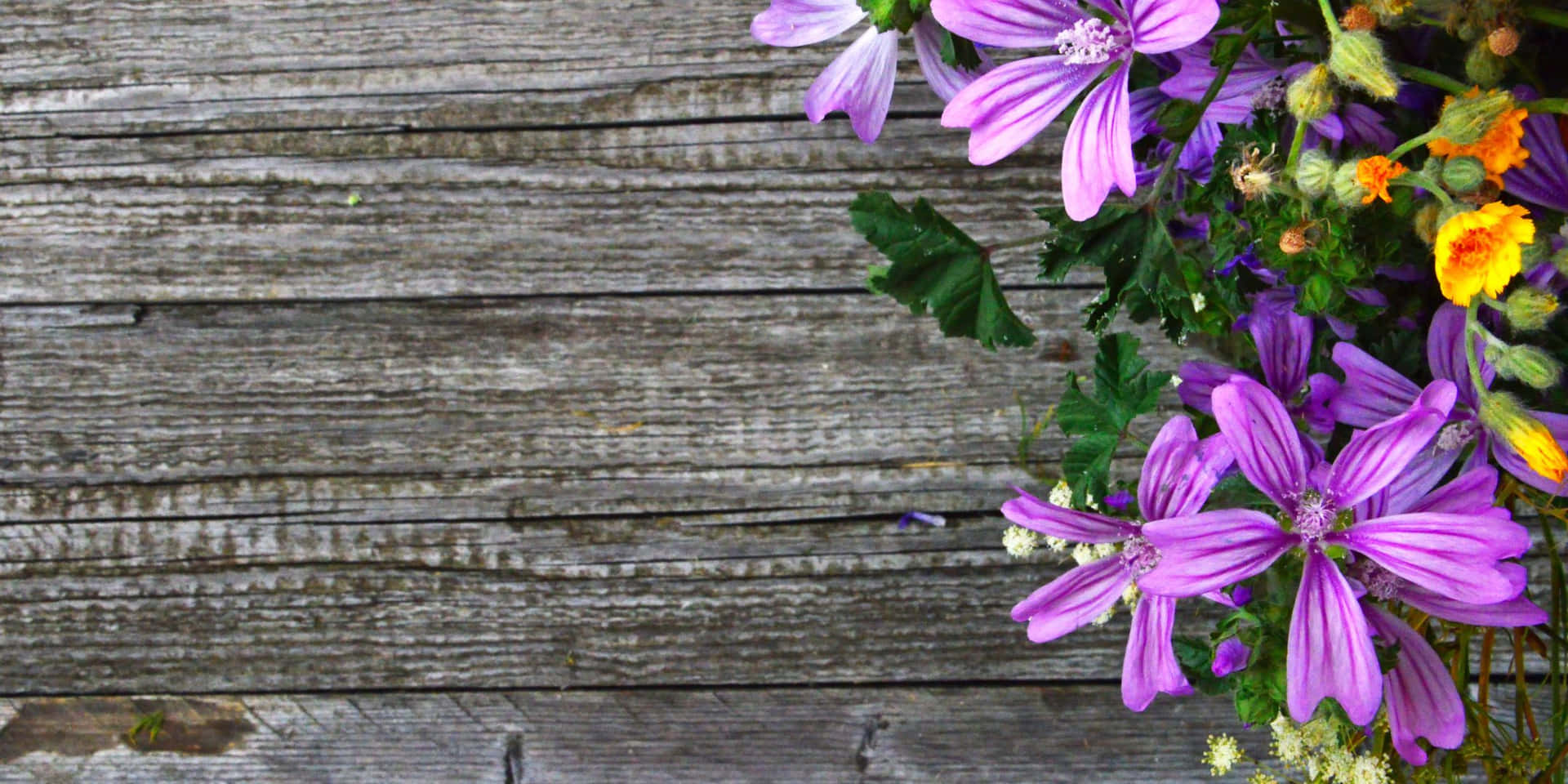 Un Paysage Époustouflant Montrant Des Collines Vallonnées Et Un Ciel Rempli De Nuages Fond d'écran