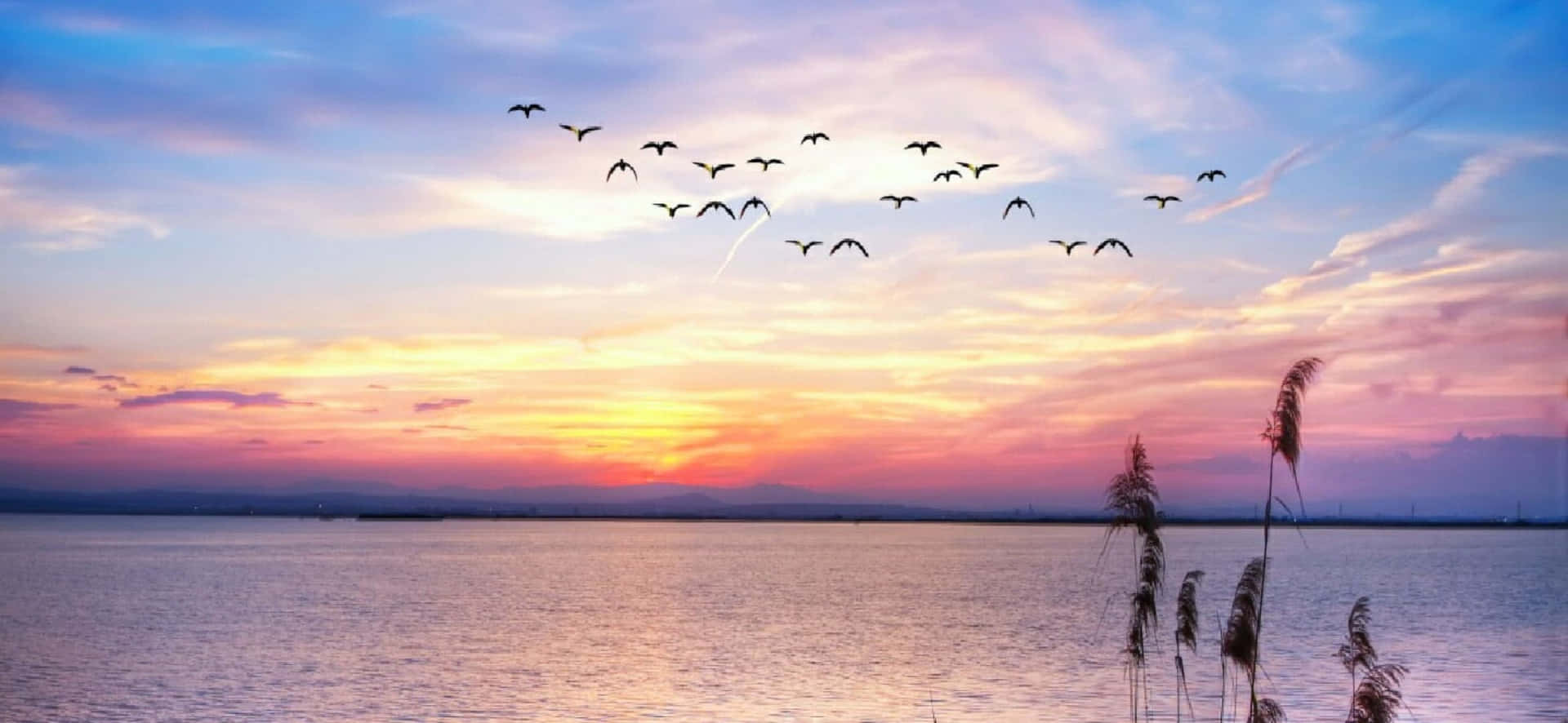 Högupplöstscen Av Soluppgång Och Dimmigt Vatten Wallpaper