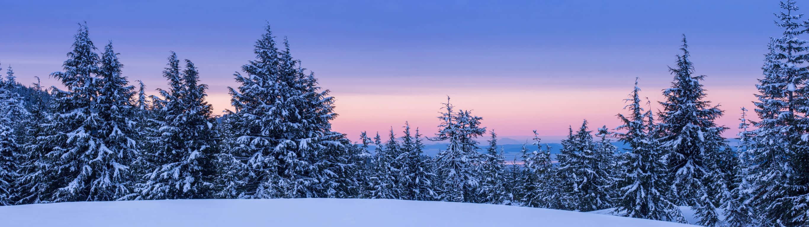 Blitsende Lykt Som Lyser Opp Nattehimmelen Bakgrunnsbildet