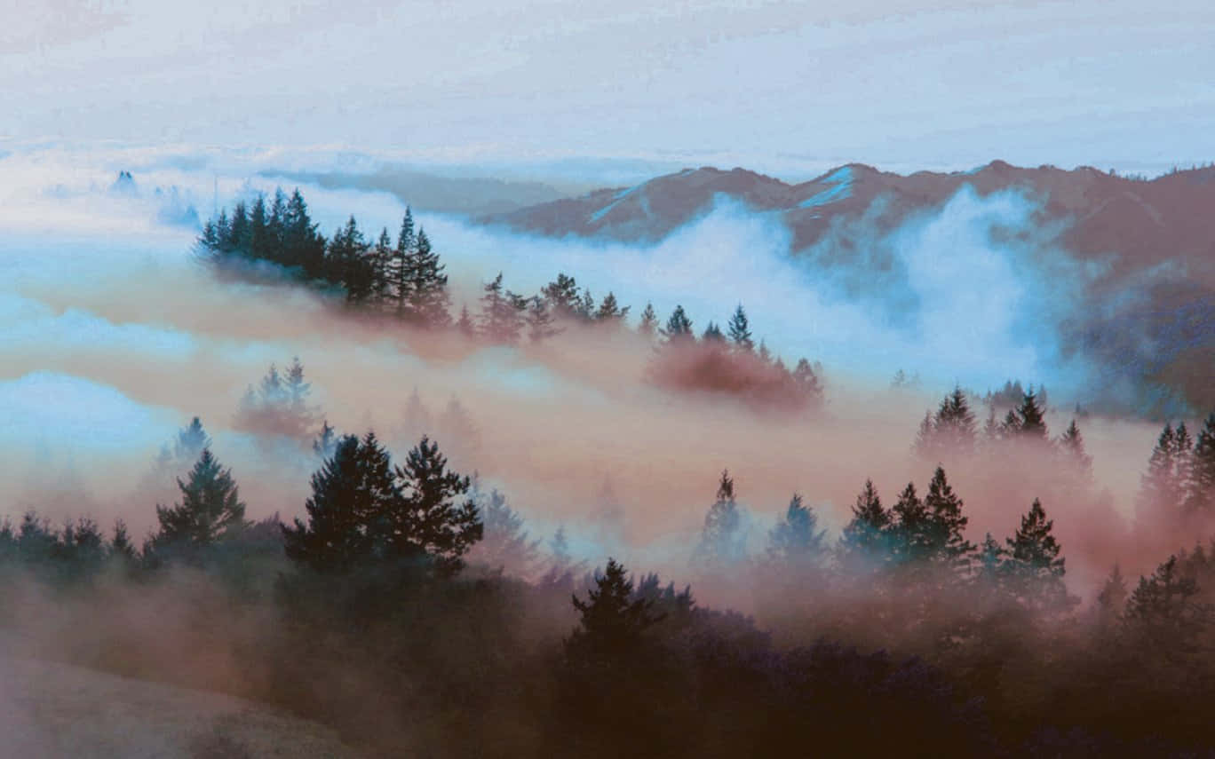 Esteettinen Luonto Vaaleanpunaisessa Sumussa Taustakuva