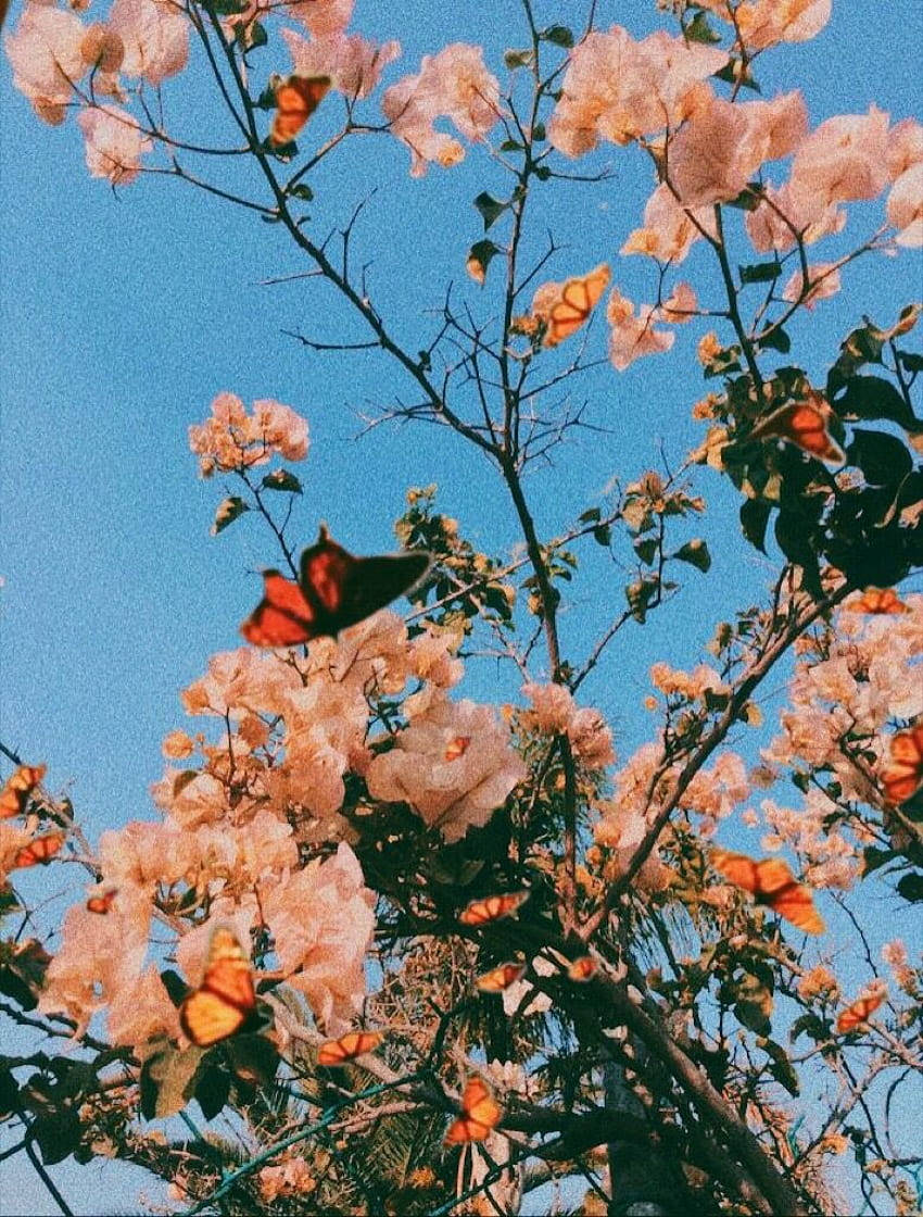 Ästhetischesfrühlings-computerscreen-thema Wallpaper