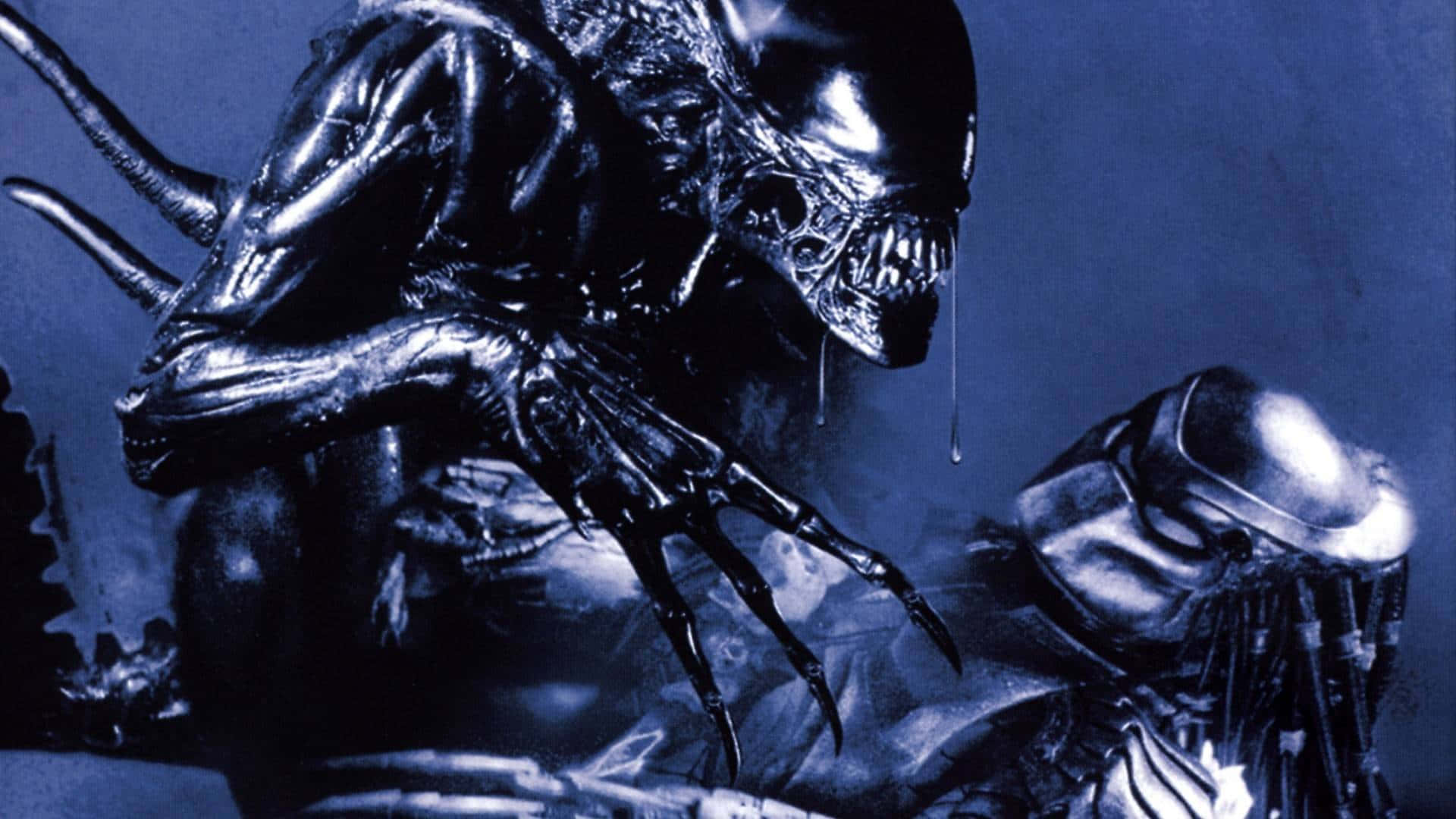 Alien Vs Predator 1920 X 1080 Wallpaper