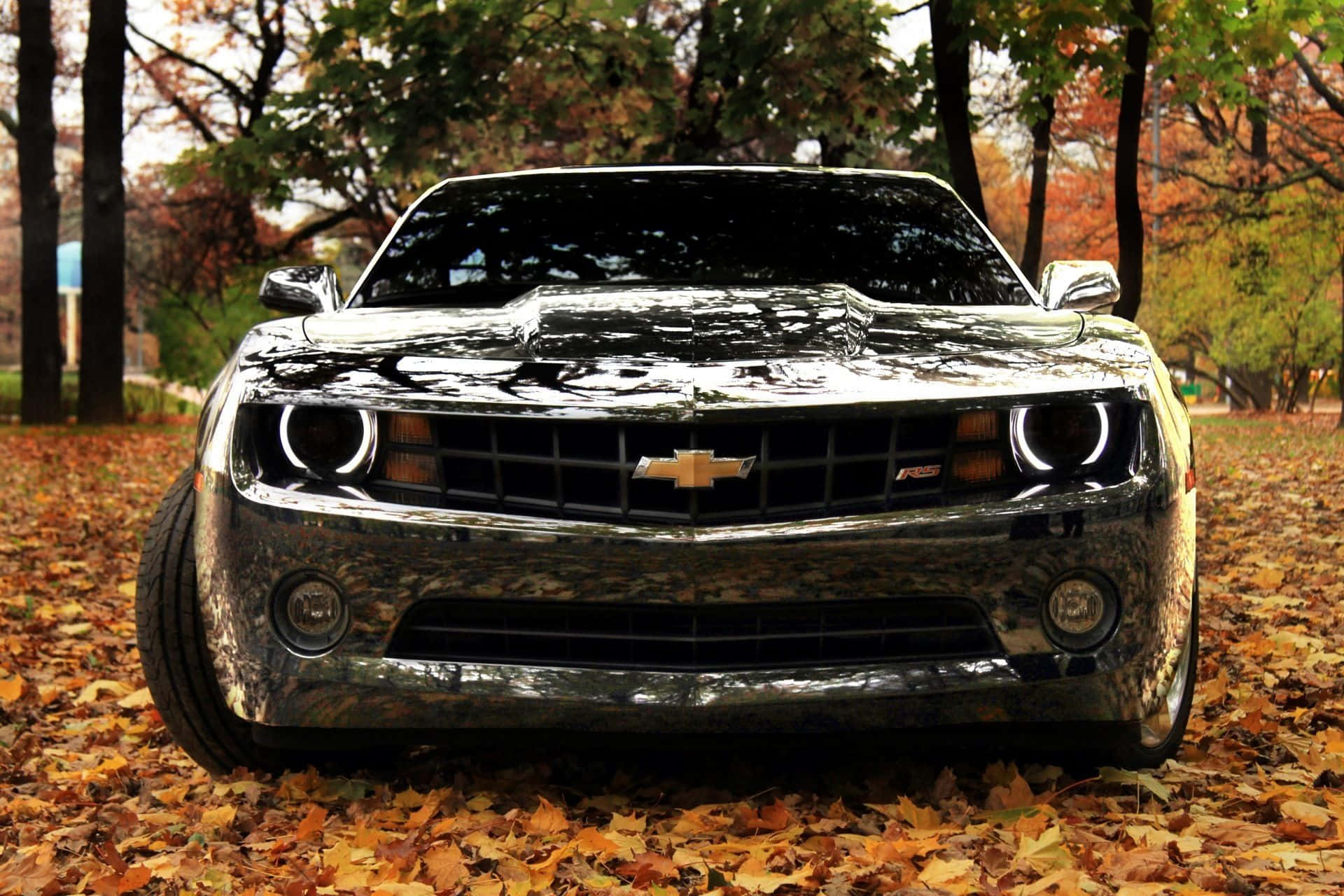 Chevrolet Camaro wallpapers - tapeter til skrivebord og mobil Wallpaper
