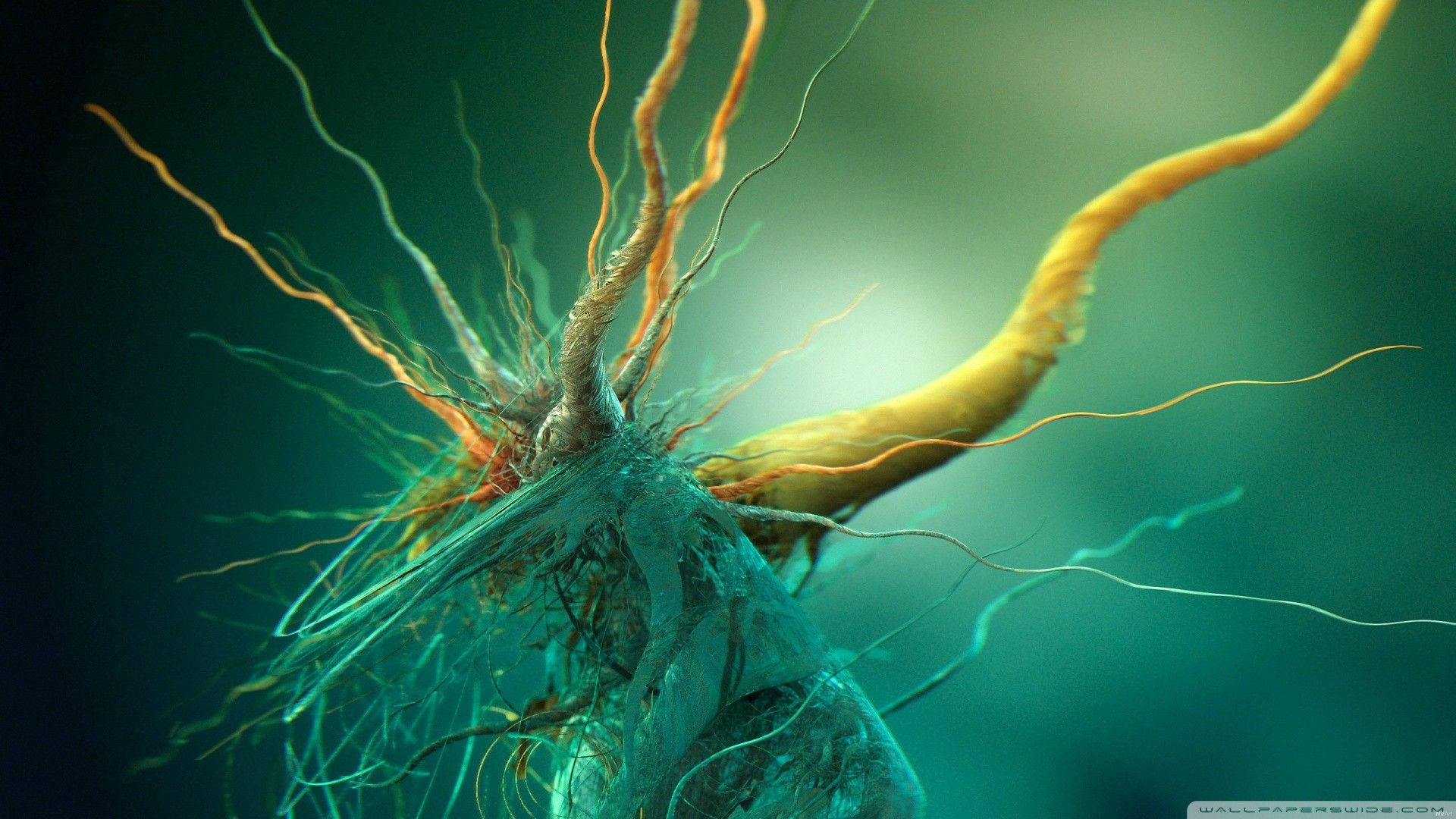 Coolastekubiska Bakterierna Wallpaper